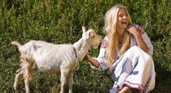 Sınırsız Oral Escort Buse – En İyi Hizmetleriyle Sizi Bekliyor